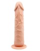 Barbara Calvin 7,8  Dildo with Suction Cup