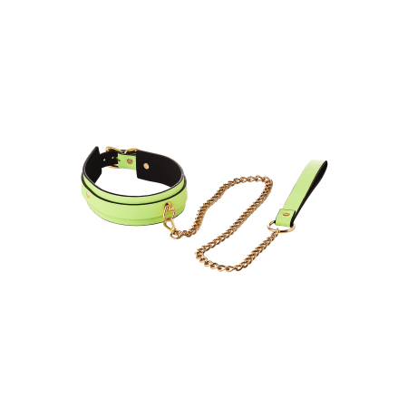 RADIANT COLLAR AND LEASH GLOW IN THE DARK GREEN