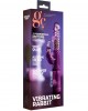 Vibrating Rabbit - Purple