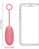 Vibrador do tipo Ovo com Comando - Rosa - Loveline