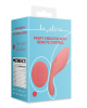 Panty Vibrator with Remote Control