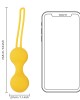 Kegel Ball Conjunto para Exercício Kegel Ball Conjunto para Exercício