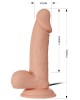 Beautiful Zebulon 7,6  Vib