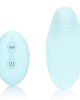 Panty Vibrator with Remote Control